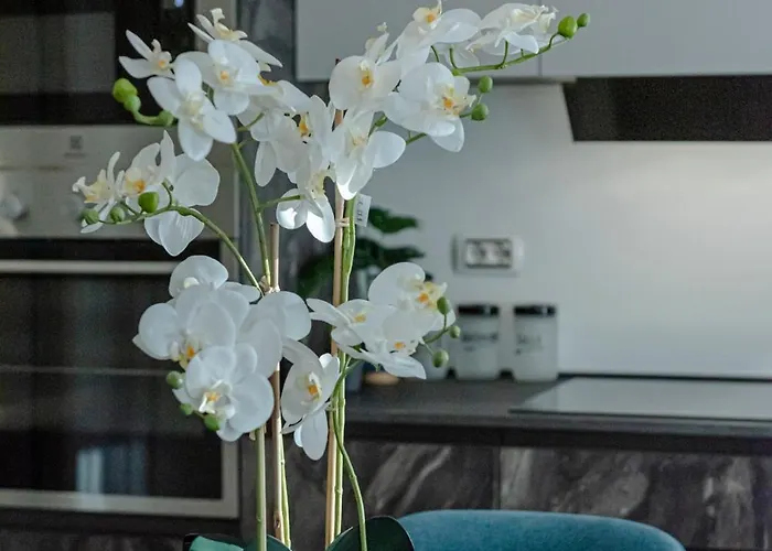 Affittacamere Il Narciso